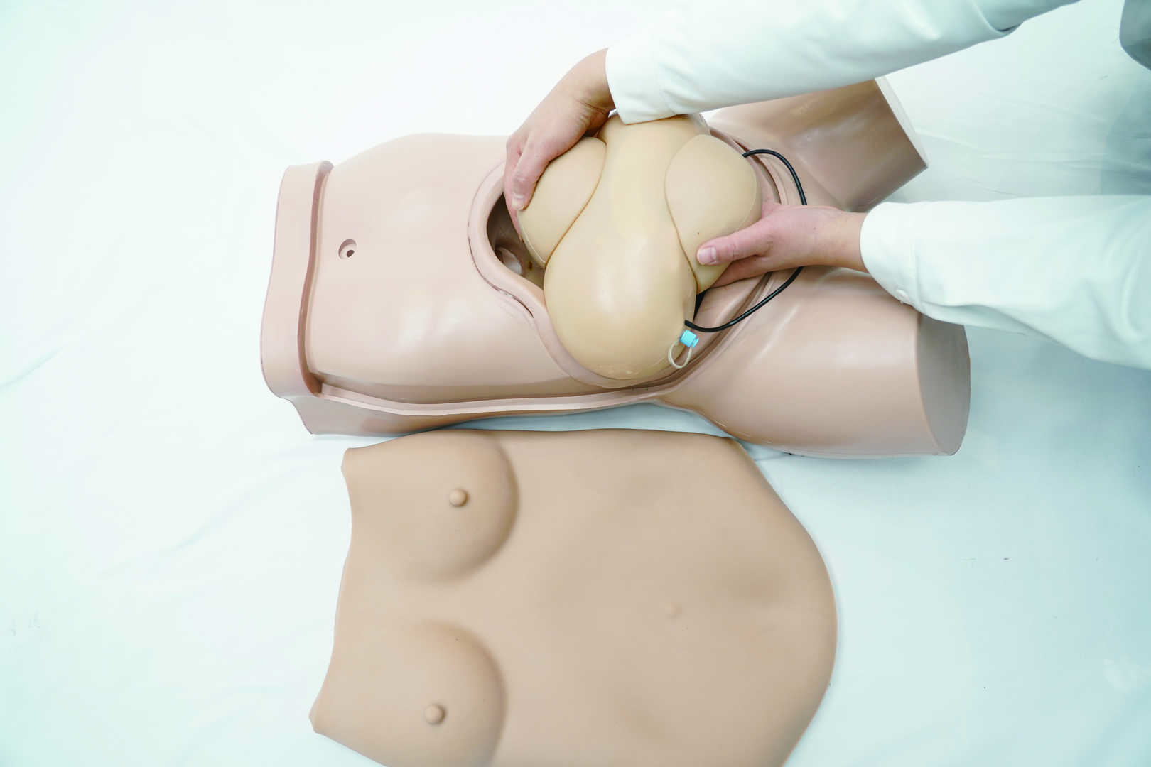 Obstetric Examination Trainer Torso